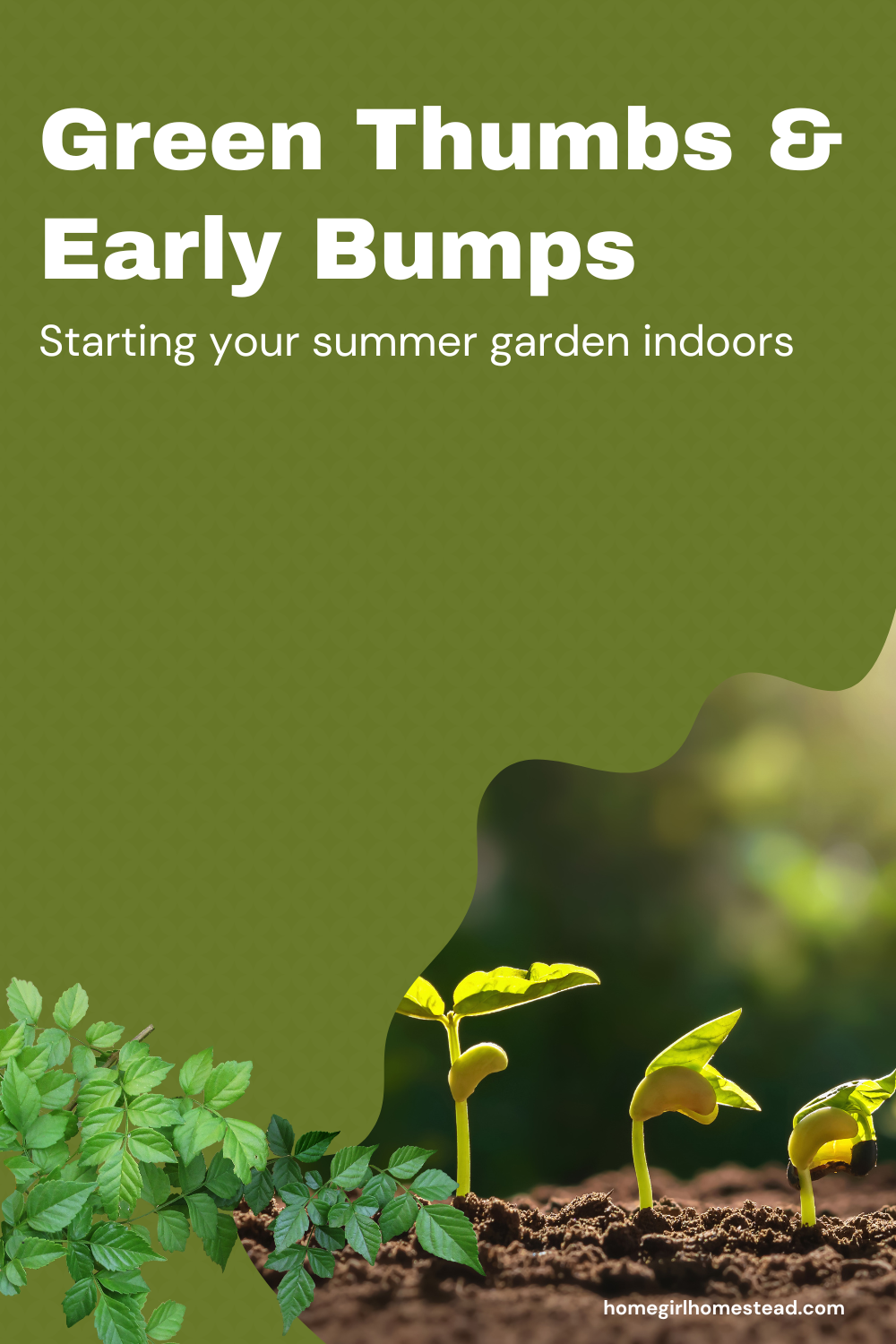 Green Thumbs: Starting Your Summer Garden