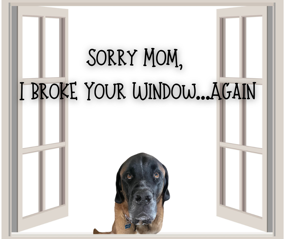 Sorry Mom, I Broke Your Window…Again