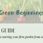 How to start seedlings